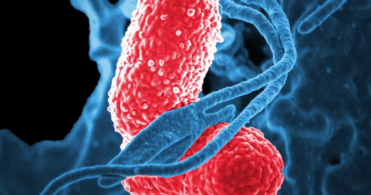 Legionella-Safety-Landlords
